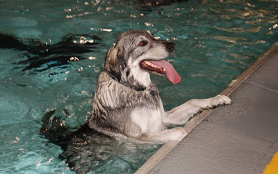 happy swimmer